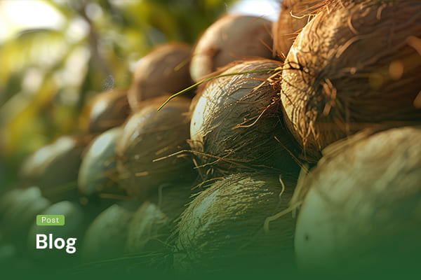 Artikel PT. Sapta Indah Borneo (2)