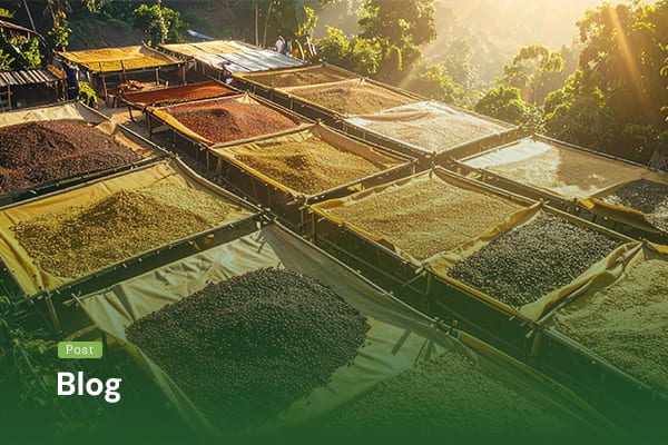 Artikel PT. Sapta Indah Borneo (3)