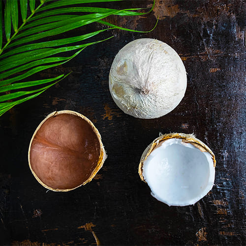 Galeri PT. Sapta Indah Borneo (3) Galeri PT. Sapta Indah Borneo (3)