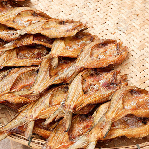 Galeri PT. Sapta Indah Borneo (4) Galeri PT. Sapta Indah Borneo (4)