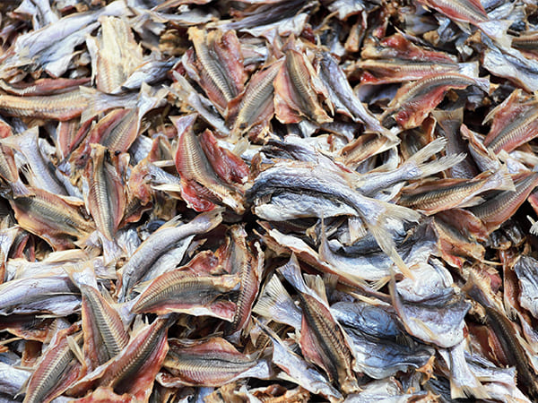 Produk PT. Sapta Indah Borneo (1)