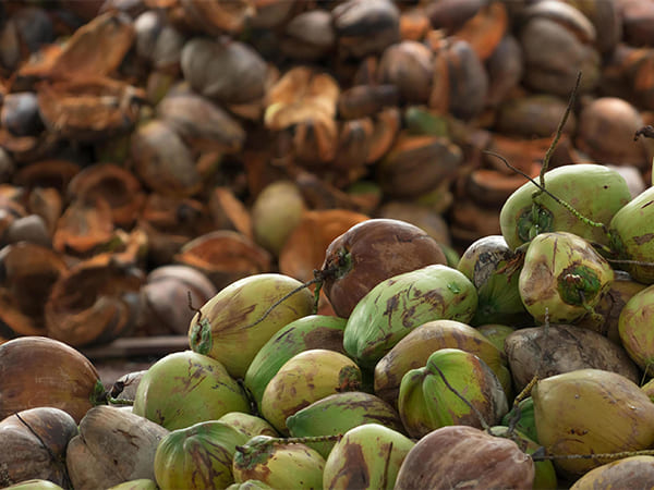 Produk PT. Sapta Indah Borneo (3)